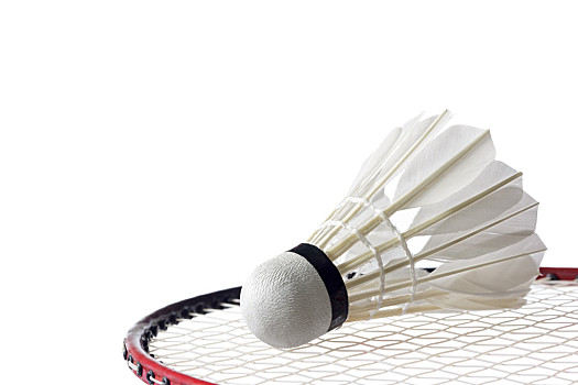 更在于从中 更在于从中