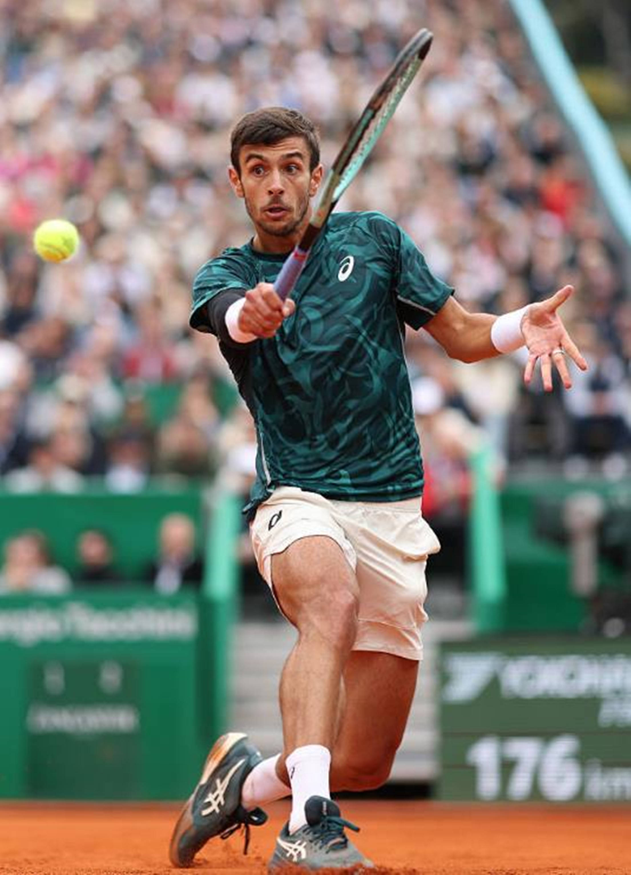 疑是近年来 疑是近年来